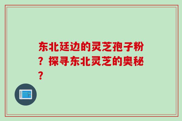 东北廷边的灵芝孢子粉？探寻东北灵芝的奥秘？
