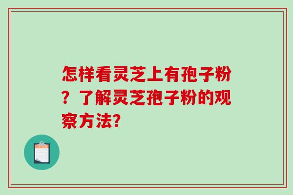 怎样看灵芝上有孢子粉？了解灵芝孢子粉的观察方法？