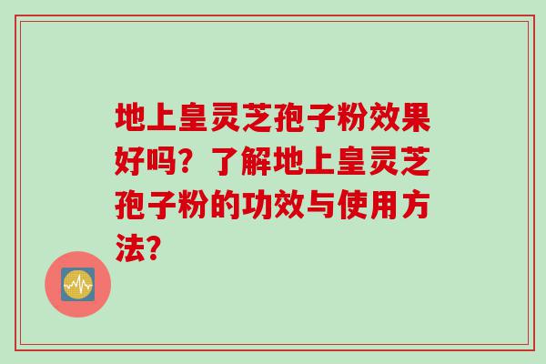 地上皇灵芝孢子粉效果好吗？了解地上皇灵芝孢子粉的功效与使用方法？