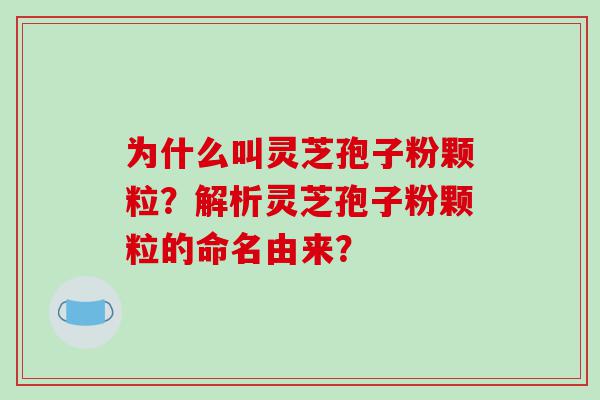 为什么叫灵芝孢子粉颗粒？解析灵芝孢子粉颗粒的命名由来？