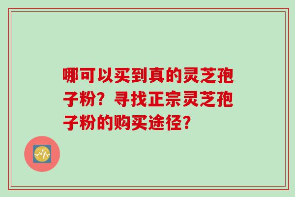 哪可以买到真的灵芝孢子粉？寻找正宗灵芝孢子粉的购买途径？