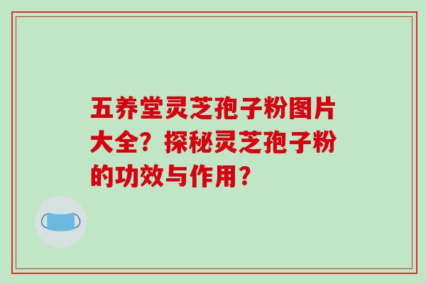 五养堂灵芝孢子粉图片大全？探秘灵芝孢子粉的功效与作用？