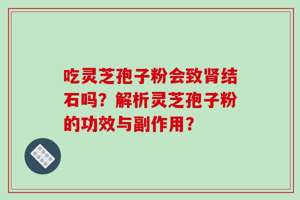 吃灵芝孢子粉会致肾结石吗？解析灵芝孢子粉的功效与副作用？