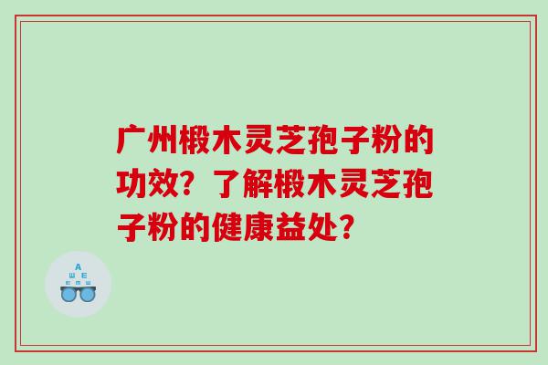 广州椴木灵芝孢子粉的功效？了解椴木灵芝孢子粉的健康益处？