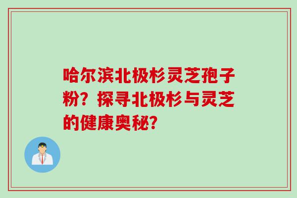 哈尔滨北极杉灵芝孢子粉？探寻北极杉与灵芝的健康奥秘？