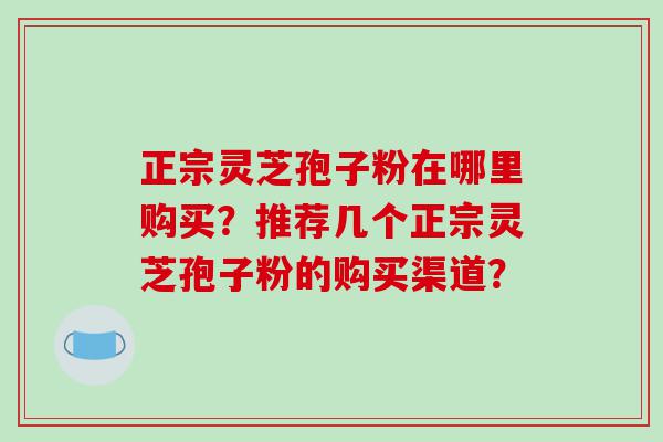 正宗灵芝孢子粉在哪里购买？推荐几个正宗灵芝孢子粉的购买渠道？