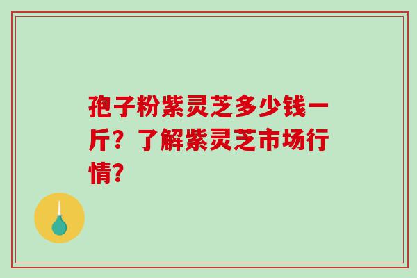 孢子粉紫灵芝多少钱一斤？了解紫灵芝市场行情？