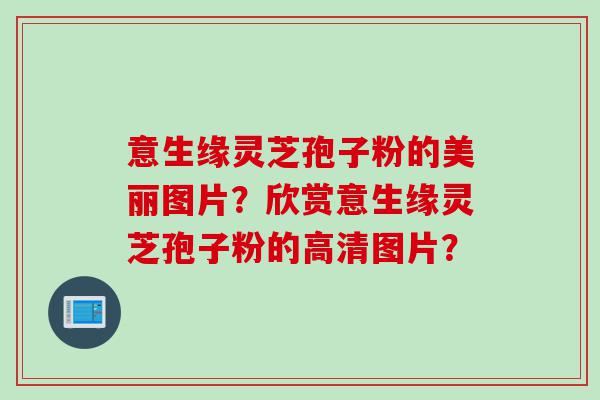意生缘灵芝孢子粉的美丽图片？欣赏意生缘灵芝孢子粉的高清图片？