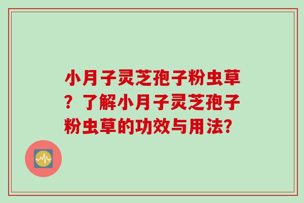 小月子灵芝孢子粉虫草？了解小月子灵芝孢子粉虫草的功效与用法？