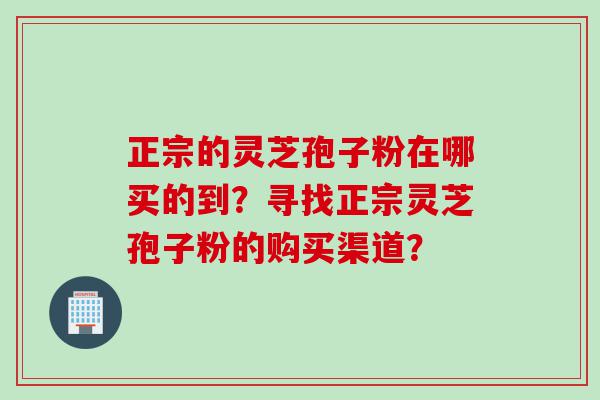 正宗的灵芝孢子粉在哪买的到？寻找正宗灵芝孢子粉的购买渠道？