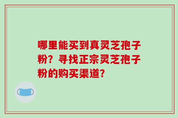 哪里能买到真灵芝孢子粉？寻找正宗灵芝孢子粉的购买渠道？