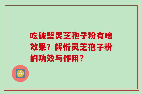 吃破壁灵芝孢子粉有啥效果？解析灵芝孢子粉的功效与作用？