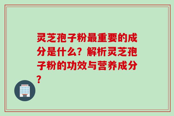 灵芝孢子粉最重要的成分是什么？解析灵芝孢子粉的功效与营养成分？
