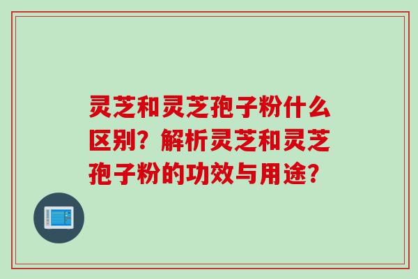灵芝和灵芝孢子粉什么区别？解析灵芝和灵芝孢子粉的功效与用途？