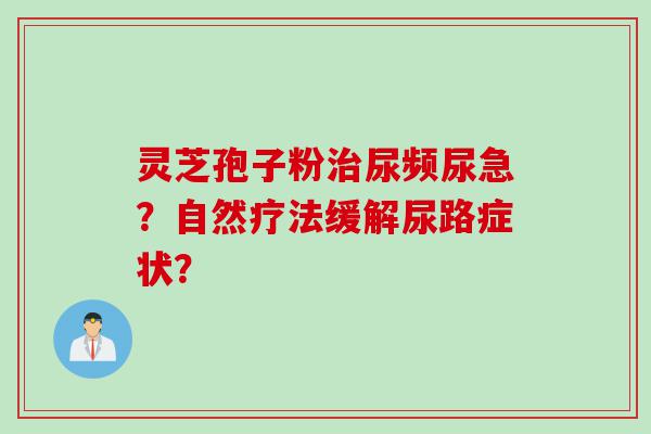 灵芝孢子粉治尿频尿急？自然疗法缓解尿路症状？