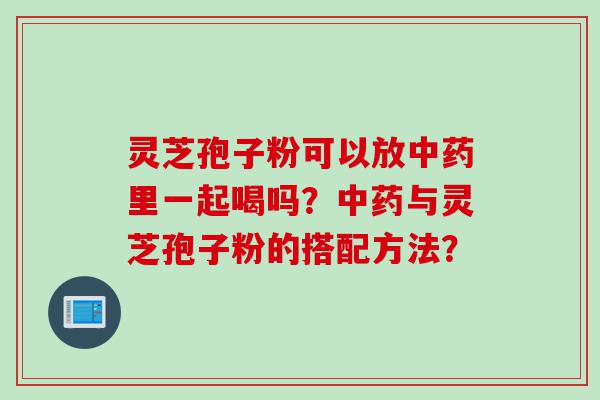 灵芝孢子粉可以放中药里一起喝吗？中药与灵芝孢子粉的搭配方法？