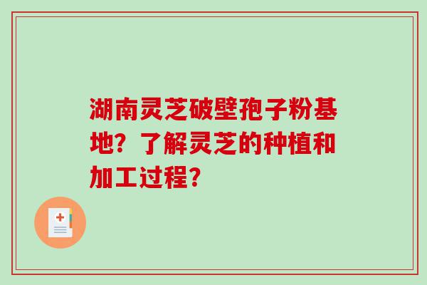 湖南灵芝破壁孢子粉基地？了解灵芝的种植和加工过程？