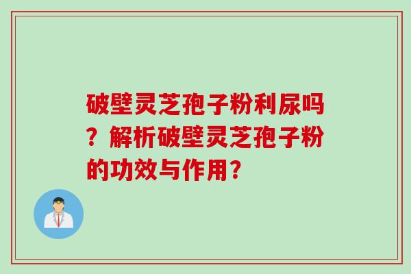 破壁灵芝孢子粉利尿吗？解析破壁灵芝孢子粉的功效与作用？