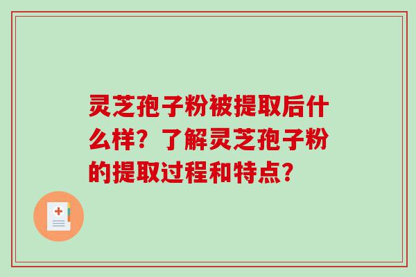 灵芝孢子粉被提取后什么样？了解灵芝孢子粉的提取过程和特点？