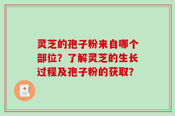 灵芝的孢子粉来自哪个部位？了解灵芝的生长过程及孢子粉的获取？
