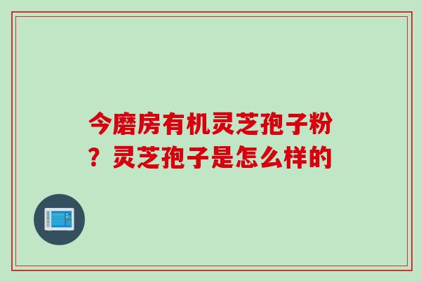 今磨房有机灵芝孢子粉？灵芝孢子是怎么样的
