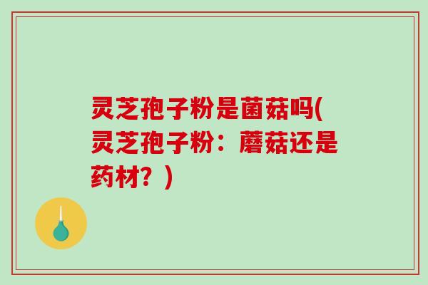 灵芝孢子粉是菌菇吗(灵芝孢子粉：蘑菇还是药材？)
