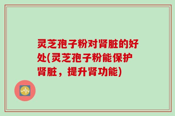 灵芝孢子粉对肾脏的好处(灵芝孢子粉能保护肾脏，提升肾功能)