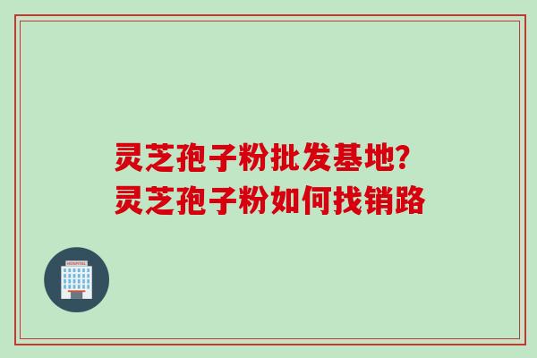 灵芝孢子粉批发基地？灵芝孢子粉如何找销路