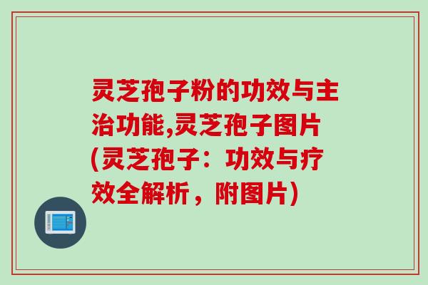 灵芝孢子粉的功效与主治功能,灵芝孢子图片(灵芝孢子：功效与疗效全解析，附图片)