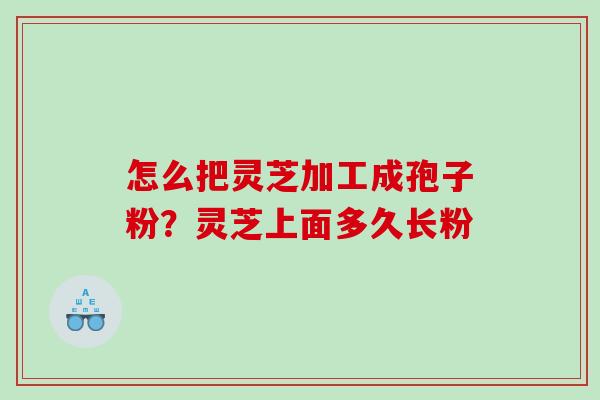 怎么把灵芝加工成孢子粉？灵芝上面多久长粉