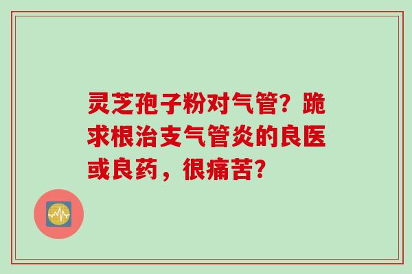 灵芝孢子粉对气管？跪求根治支气管炎的良医或良药，很痛苦？