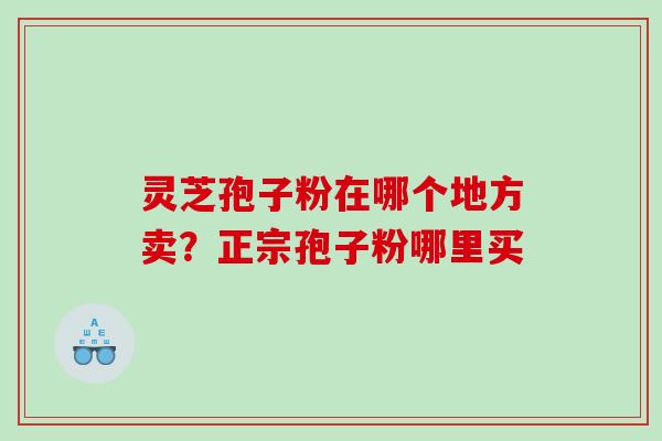 灵芝孢子粉在哪个地方卖？正宗孢子粉哪里买