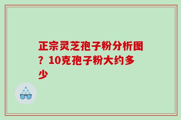 正宗灵芝孢子粉分析图？10克孢子粉大约多少