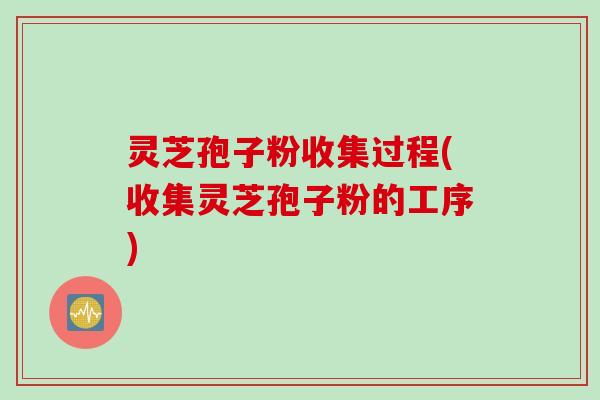 灵芝孢子粉收集过程(收集灵芝孢子粉的工序)