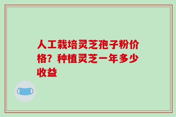人工栽培灵芝孢子粉价格？种植灵芝一年多少收益