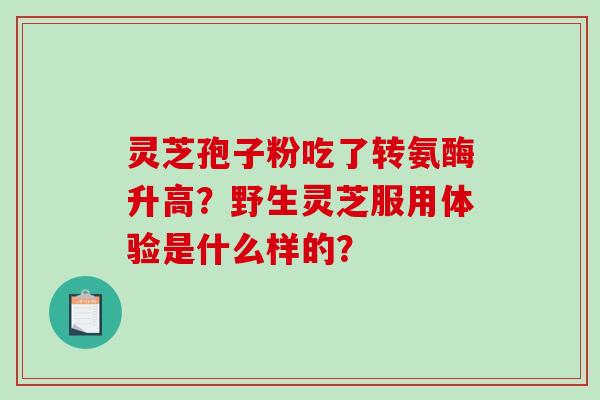 灵芝孢子粉吃了转氨酶升高？野生灵芝服用体验是什么样的？