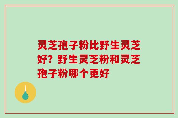 灵芝孢子粉比野生灵芝好？野生灵芝粉和灵芝孢子粉哪个更好