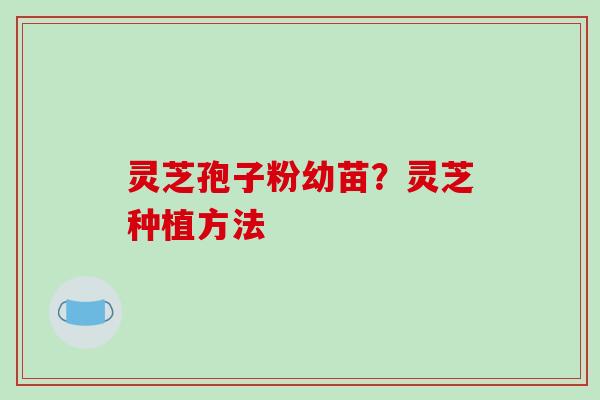 灵芝孢子粉幼苗？灵芝种植方法