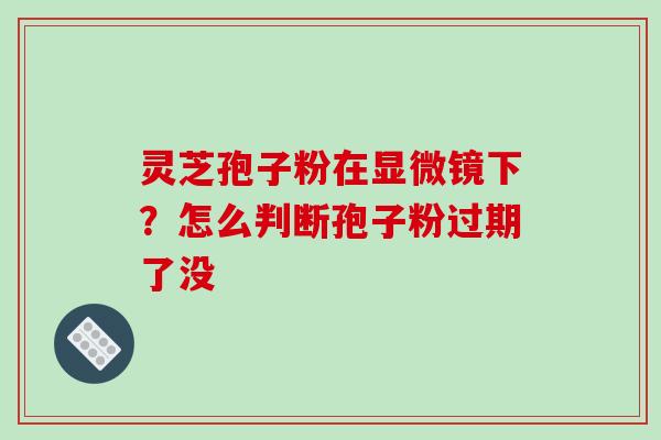 灵芝孢子粉在显微镜下？怎么判断孢子粉过期了没