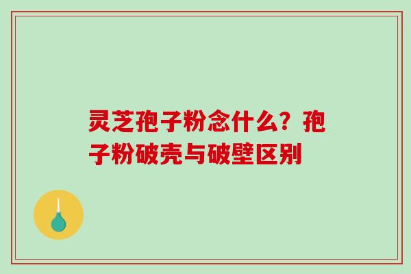 灵芝孢子粉念什么？孢子粉破壳与破壁区别