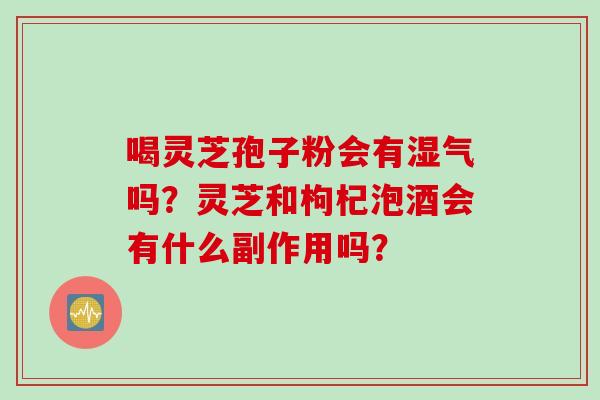 喝灵芝孢子粉会有湿气吗？灵芝和枸杞泡酒会有什么副作用吗？