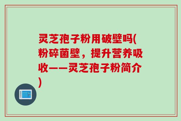 灵芝孢子粉用破壁吗(粉碎菌壁，提升营养吸收——灵芝孢子粉简介)