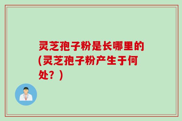 灵芝孢子粉是长哪里的(灵芝孢子粉产生于何处？)