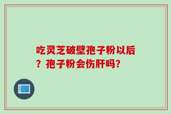 吃灵芝破壁孢子粉以后？孢子粉会伤肝吗？