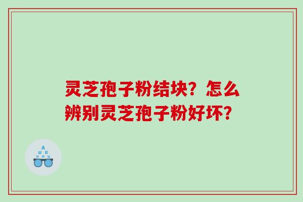 灵芝孢子粉结块？怎么辨别灵芝孢子粉好坏？