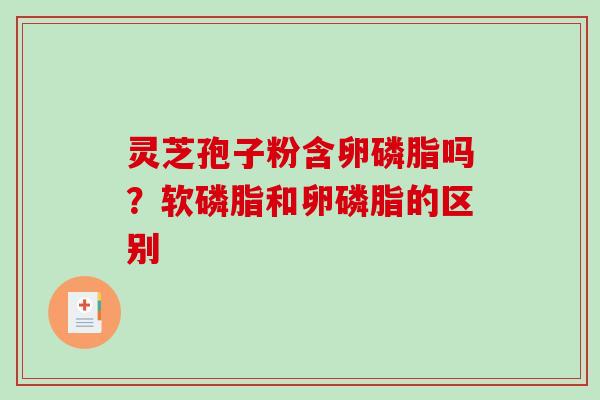灵芝孢子粉含卵磷脂吗？软磷脂和卵磷脂的区别