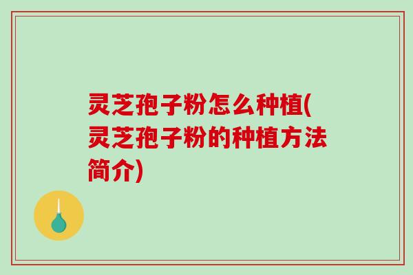 灵芝孢子粉怎么种植(灵芝孢子粉的种植方法简介) 灵芝孢子粉怎么种植(灵芝孢子粉的种植方法简介)
