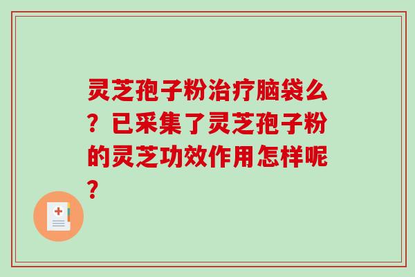 灵芝孢子粉治疗脑袋么？已采集了灵芝孢子粉的灵芝功效作用怎样呢？
