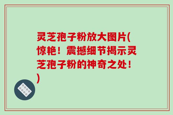 灵芝孢子粉放大图片(惊艳！震撼细节揭示灵芝孢子粉的神奇之处！)
