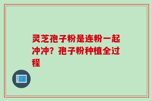 灵芝孢子粉是连粉一起冲冲？孢子粉种植全过程